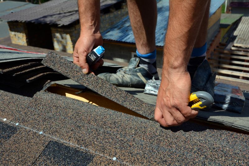 Skilled Roof Repair Specialist